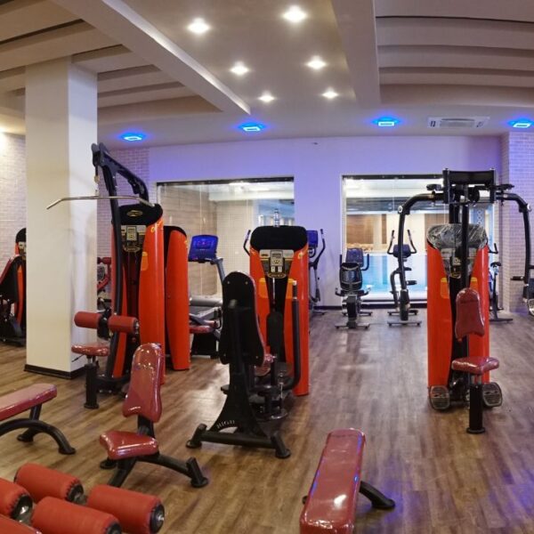 Gym3
